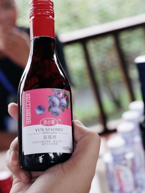 湖北安陸趙棚鎮 小藍莓帶村民脫貧致富,昔日荒山成金山銀山