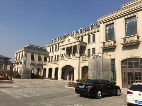 回家過(guò)年帶健康,紫斐藍(lán)莓酒適合家人朋友齊分享