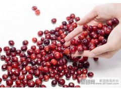 青島進口干果清關(guān)代理公司 青島進口紅酒代理清關(guān)公司